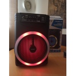 Corneta inalámbrica 8 pulgadas Radio FM, amplificada Sankey  L11